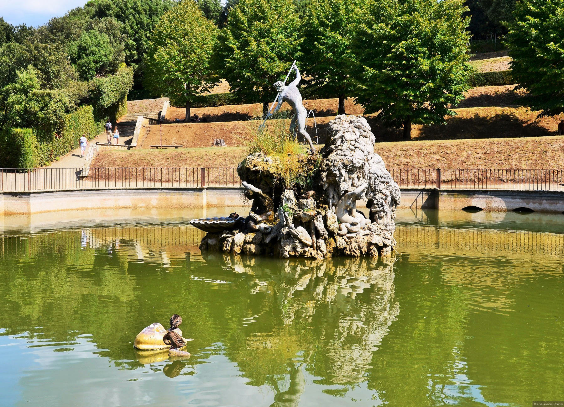 Firenze